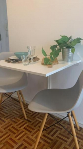 Apt 20 min from downtown train